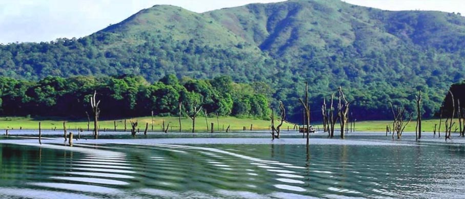 Periyar Lake Thekkady: Complete Guide to Kerala's Pristine Waters