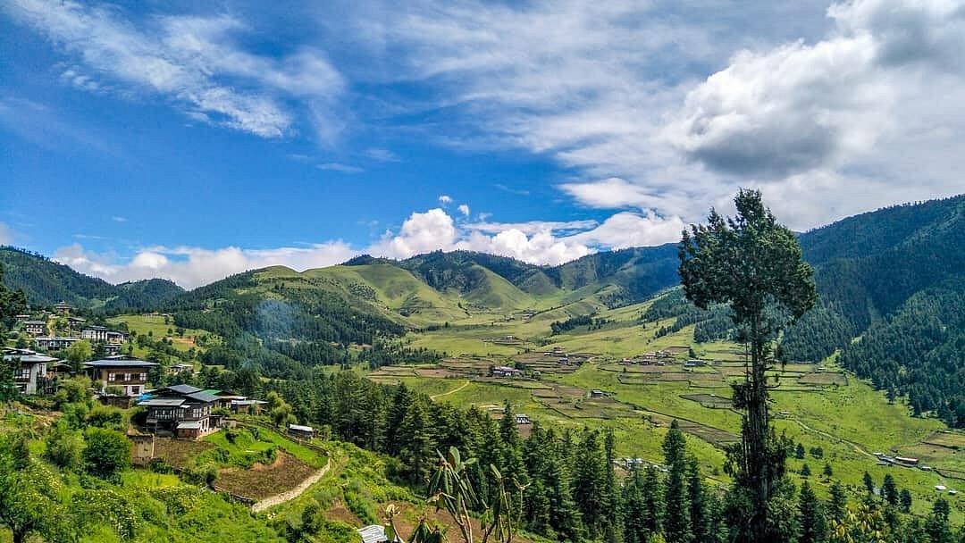 Phobjikha Valley Bhutan: Black-Necked Cranes, Stays & Travel Plan