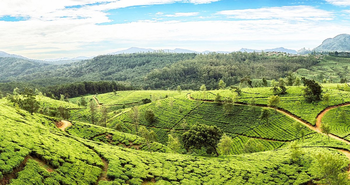 Places to Visit in Sri Lanka: Top Attractions