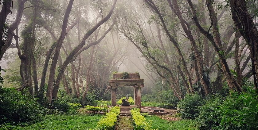 Places Near Bangalore Within 100 km: Best One-Day Trip Ideas with Smart Routes