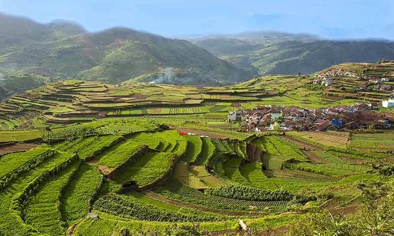 Places to Visit in Assam: Itinerary, Best Time & Top Attractions