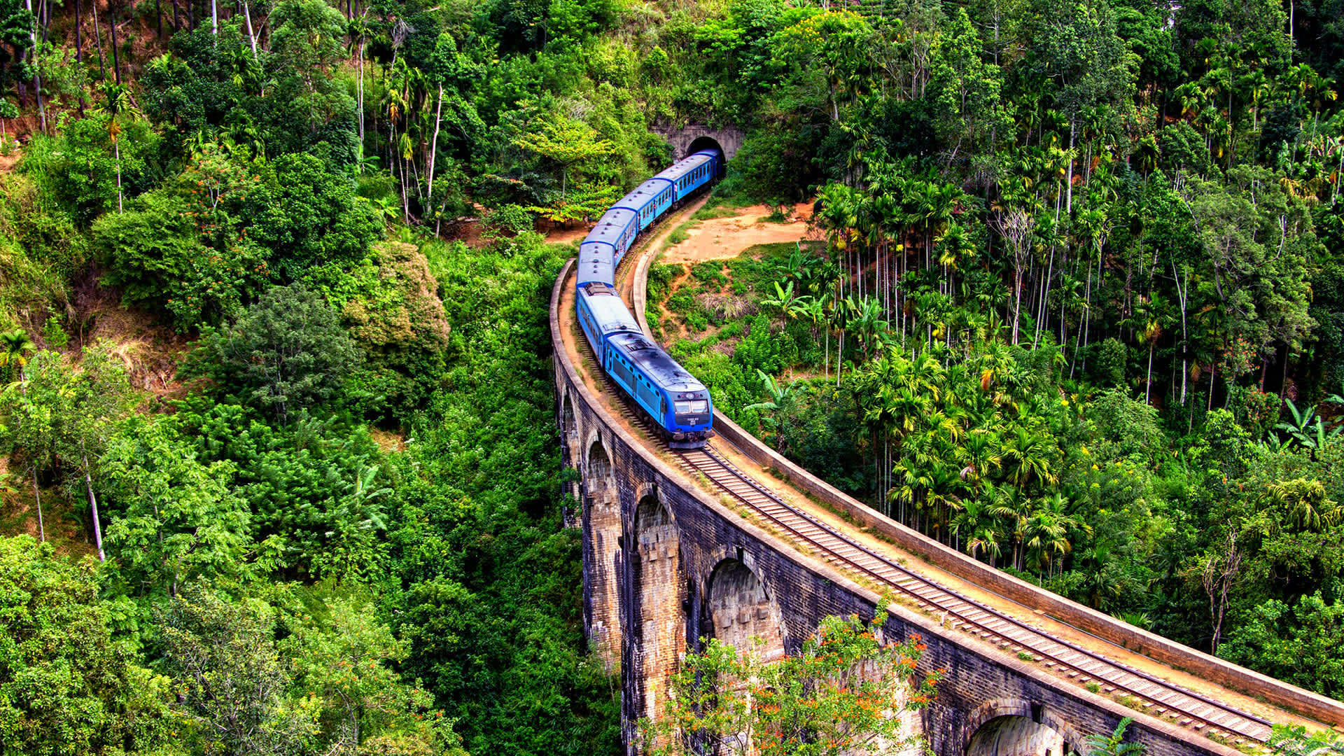 Places to Visit in Ella Sri Lanka: Viewpoints, Trails & Day Plans