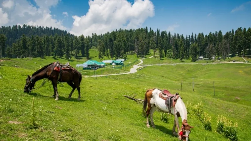 Gulmarg: 15 Best Places to Visit & Things to Do