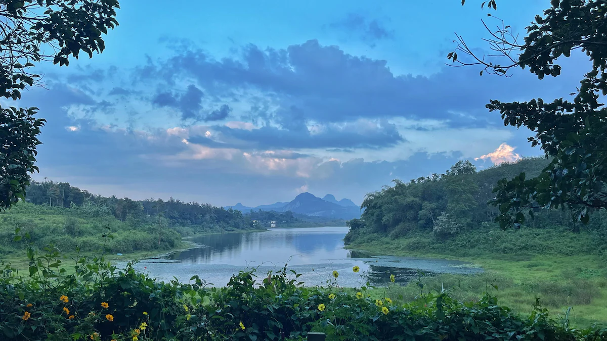 Places to Visit in Kalpetta: Wayanad Attractions & Day Route