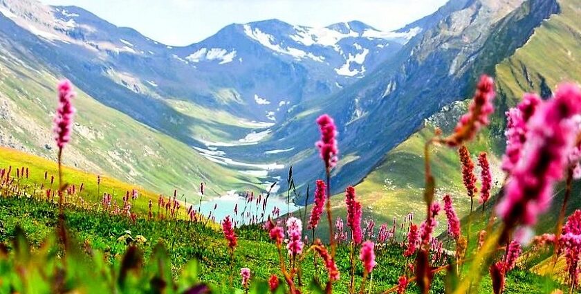 Places to Visit in Kashmir in May: Spring Blooms & Pleasant Weather