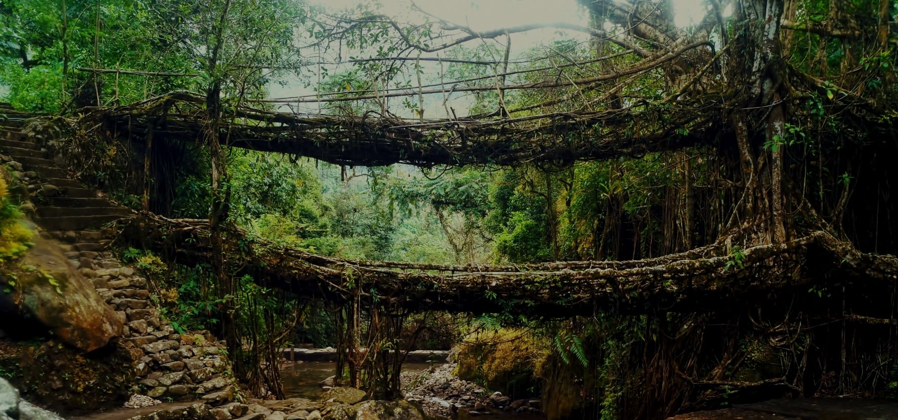 Places to Visit Meghalaya in June: Monsoon Magic