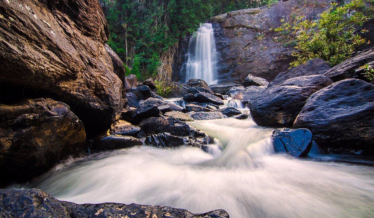 Places to Visit in Wayanad: Waterfalls, Lakes & Forest Trails