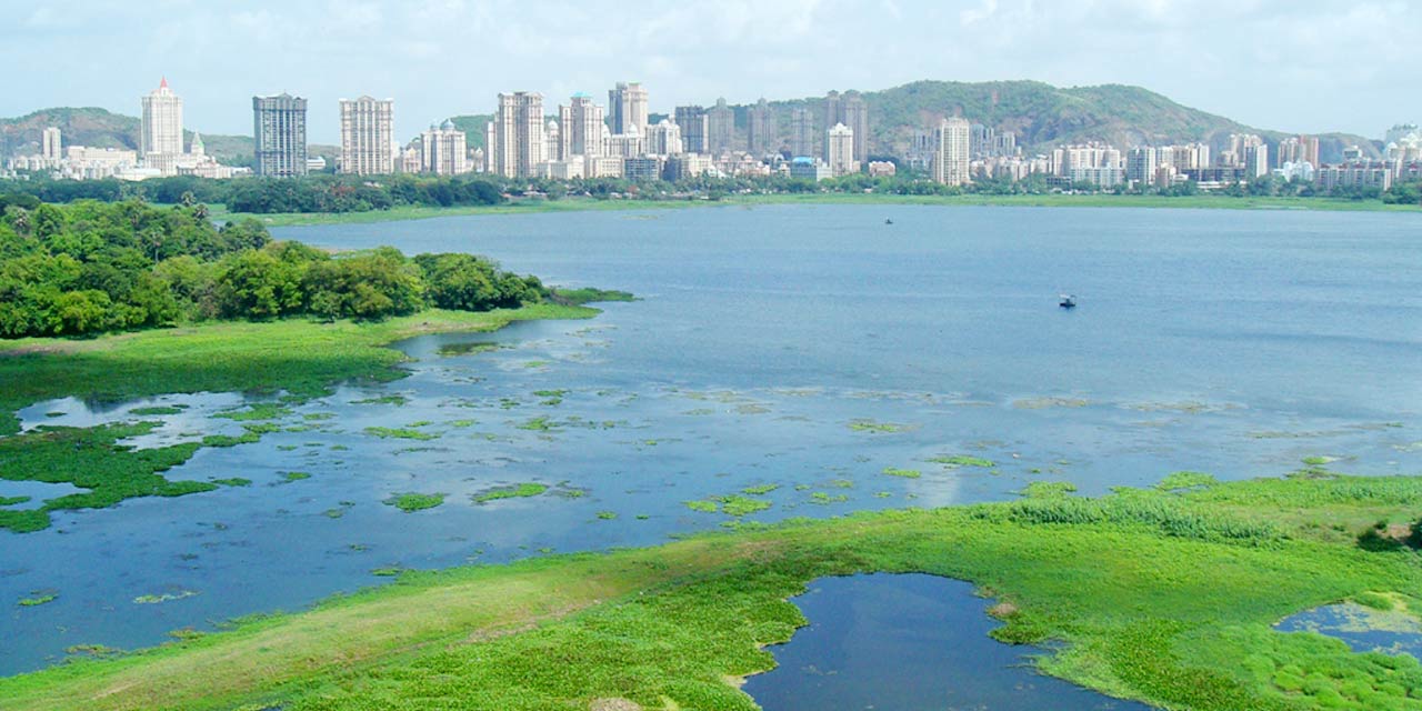 Powai Lake Mumbai: Timings, Boating Info & Best Visit Hours