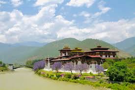 Punakha Dzong Guide: Best Time, History, Entry Tips, and Practical Bhutan Itinerary