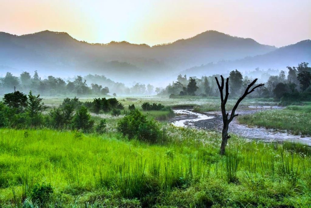 Rajaji National Park: Elephant Safari, Zones & Visitor Information