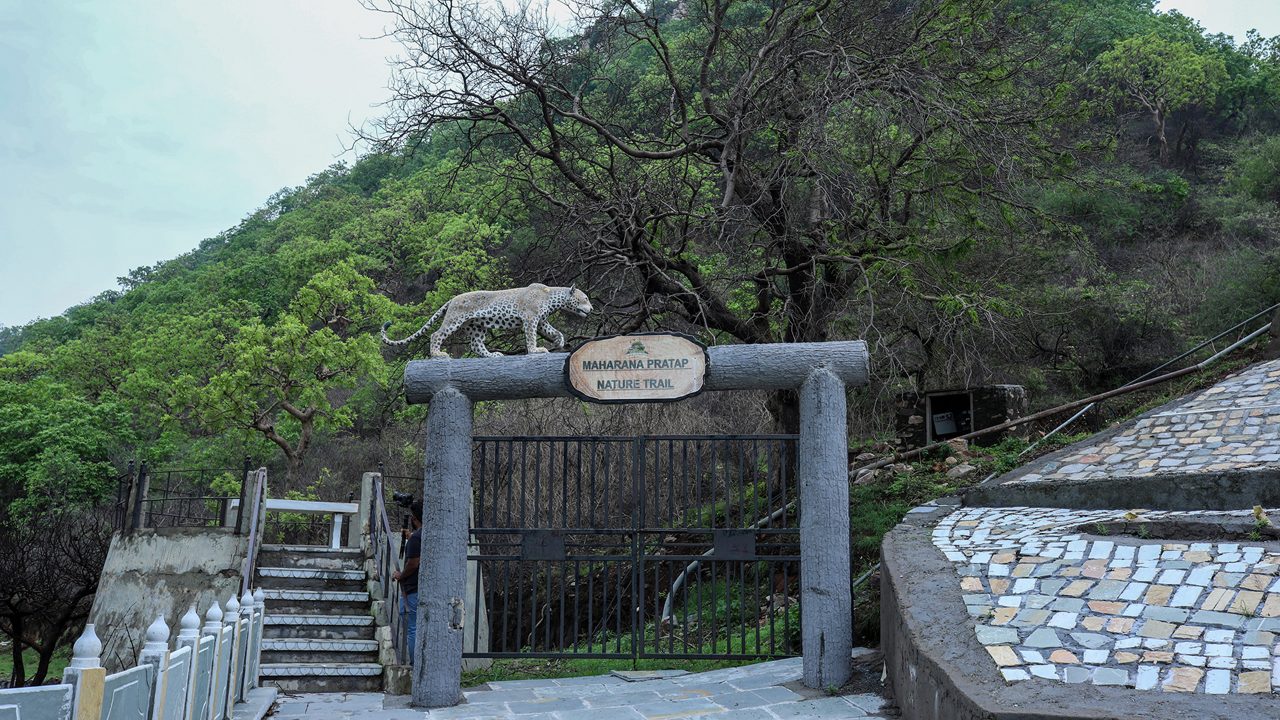 Sajjangarh Biological Park Udaipur: Tickets, Timings & Animal Enclosures