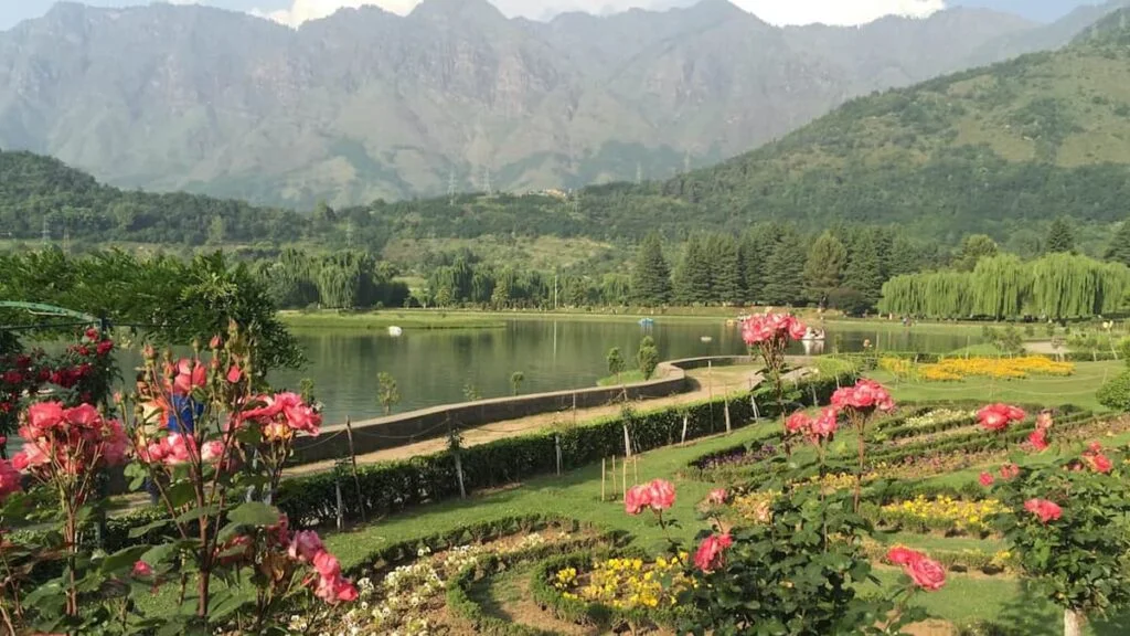 Salim Ali National Park Srinagar: Birdwatching, Timings & Access