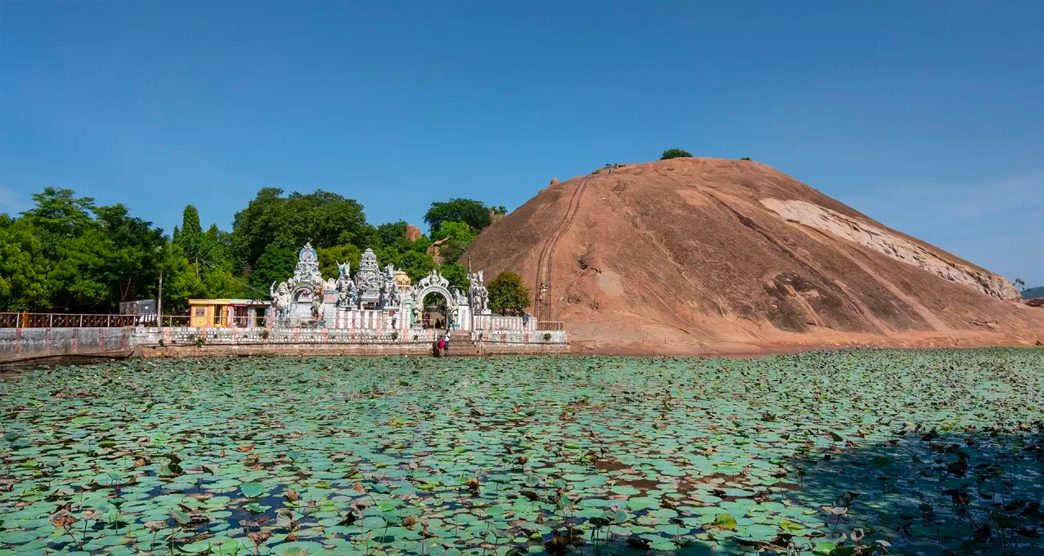 Samanar Hills Madurai: Trek Route, Timings & Jain Heritage Caves