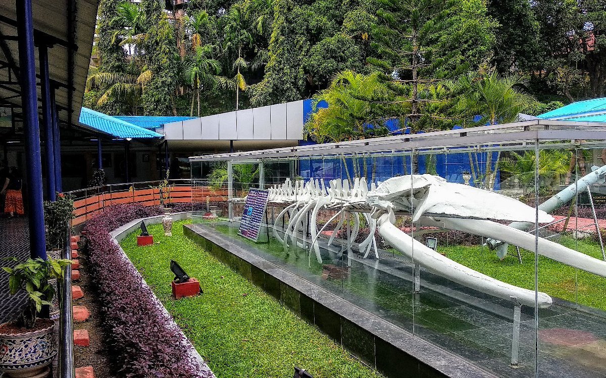 Samudrika Naval Marine Museum Port Blair: Timings, Tickets & Exhibits