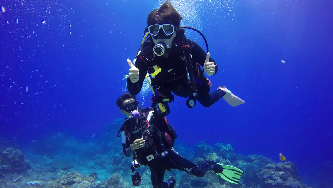 Scuba Diving in Goa: Costs, Dive Sites & Booking Info
