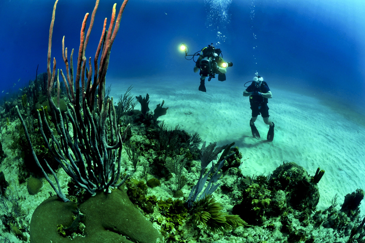 Scuba Diving in Pondicherry: Complete Guide 2026