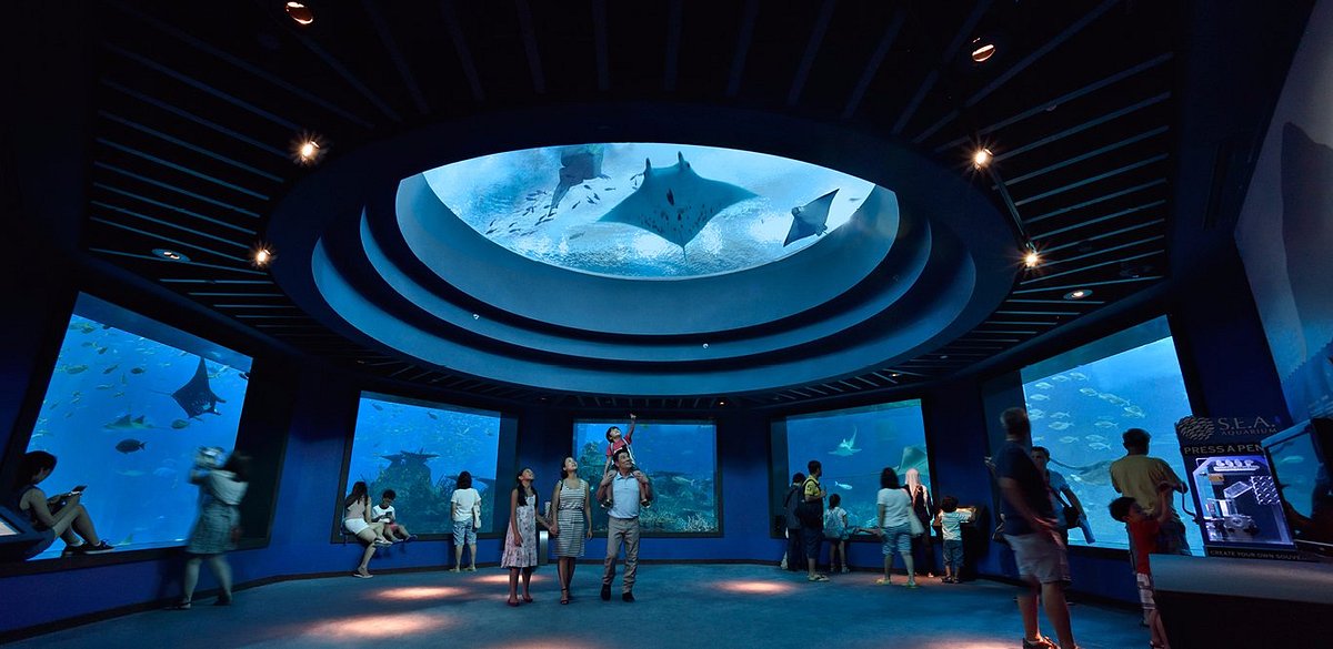 S.E.A. Aquarium Singapore: Tickets, Timing and Tips