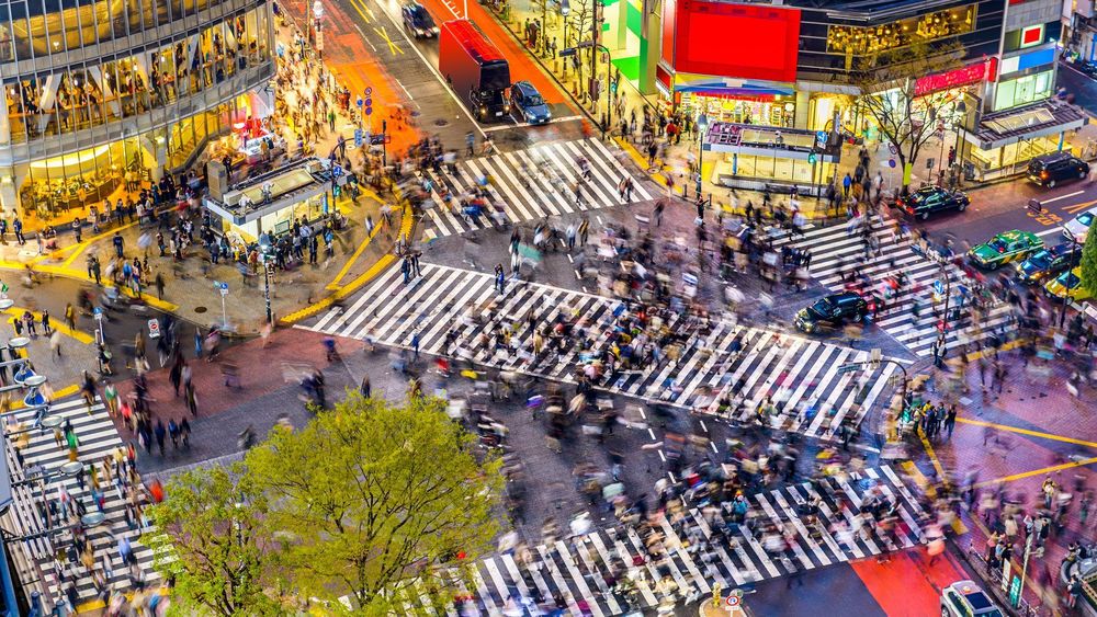 Shibuya Crossing Tokyo: Best Time & Photos