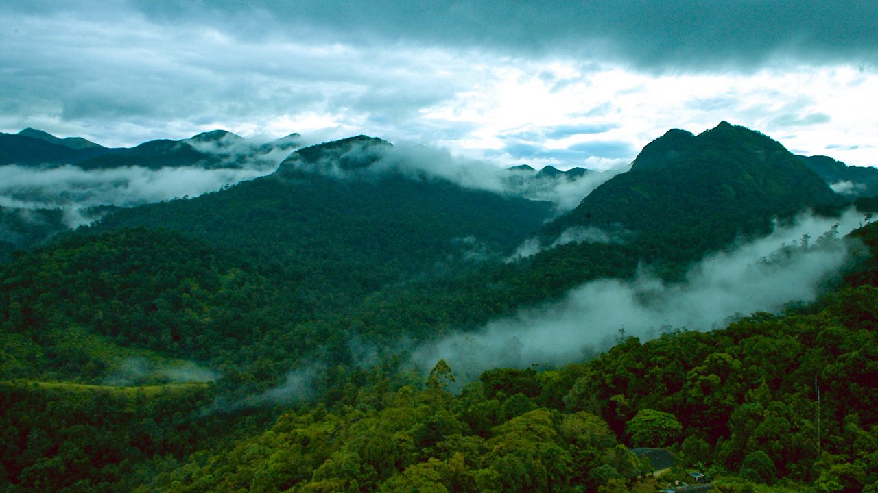 Silent Valley National Park Kerala: Entry Rules, Trails & Best Time