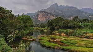 Silent Valley National Park Kerala: Entry Rules, Trails & Best Season