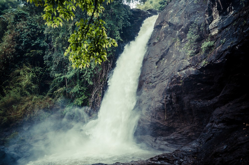Soochipara Waterfalls Wayanad: Trek Access, Timings & Entry Fee