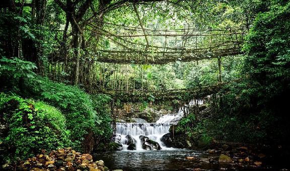 Sweet Falls Shillong: Location, Safety Tips & Best Time to Visit