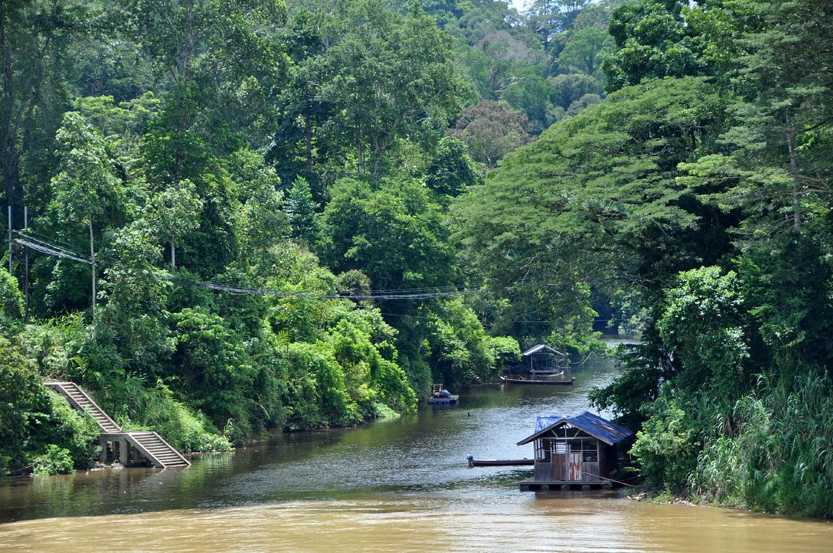Taman Negara Malaysia: Trekking Trails, Canopy Walk & Travel Plan