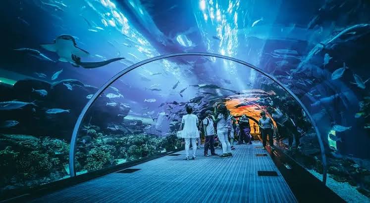 Taraporewala Aquarium Mumbai: Ticket Price, Timings & Marine Exhibits