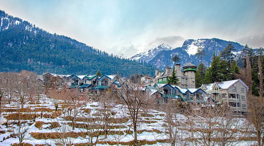 The Himalayan Cafe Manali: Menu, Vibe & Best Time to Visit