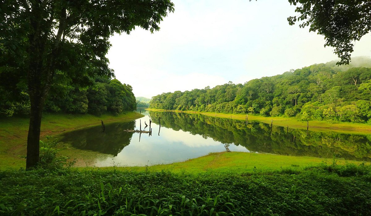 Thekkady Adventure Activities: Complete Guide to Periyar Wildlife Experiences