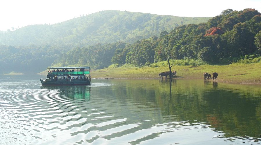 Thekkady Wildlife Sanctuary: Periyar Safari, Boating & Travel Plan
