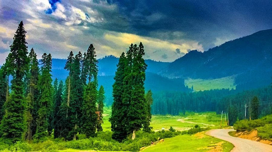 Things to Do in Doodhpathri: Meadow Activities, Picnic Spots & Routes