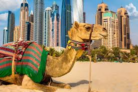 Things to Do in Dubai: Attractions, Itinerary & Budget Breakdown