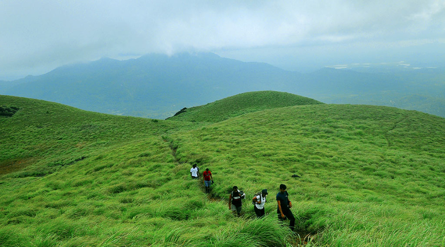 Trekking in Kerala: Best Trails by Difficulty & Region