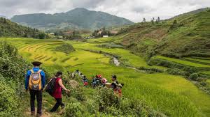 Trekking in Sapa Valley: Vietnam's Terraced Rice Field Paradise
