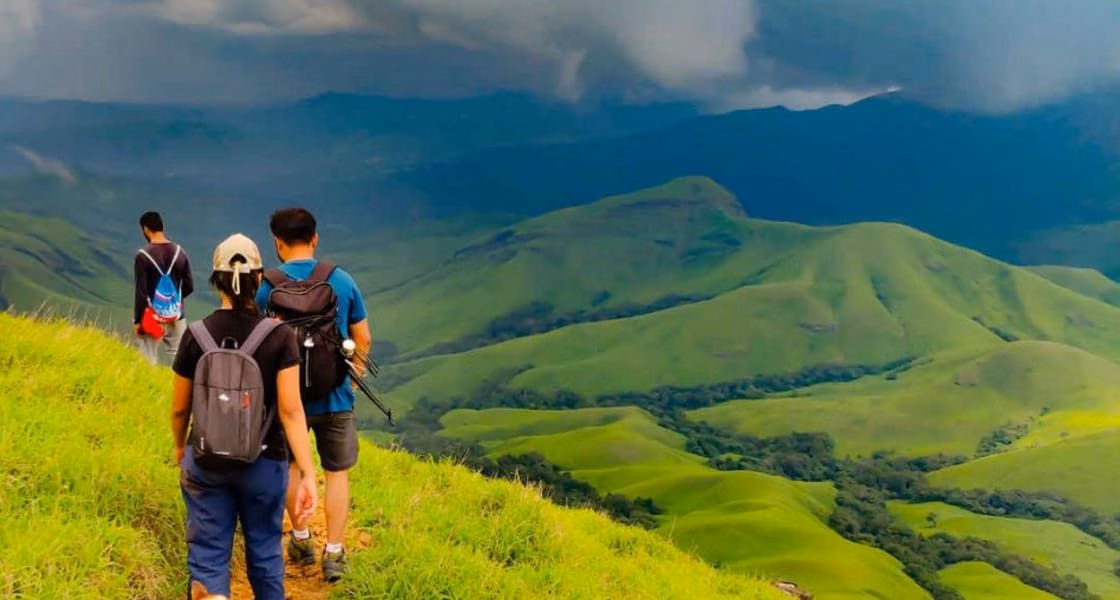 Trekking in Wayanad: Best Trails, Permit Info & Safety Tips