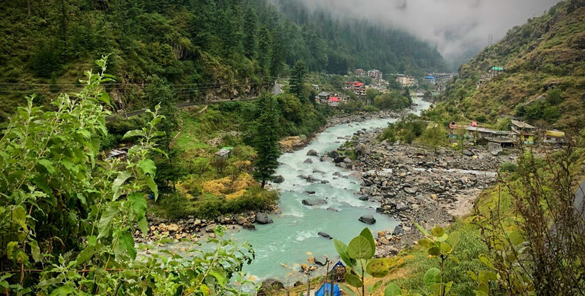 Treks from Kasauli: Trail Routes, Difficulty & Tips