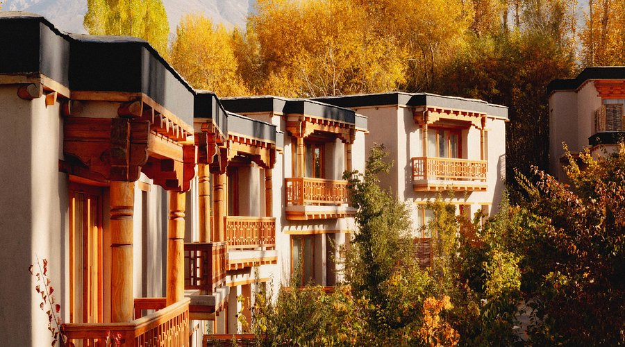 Tsas by Dolkhar Ladakh: Menu, Ambience, and Visit Tips