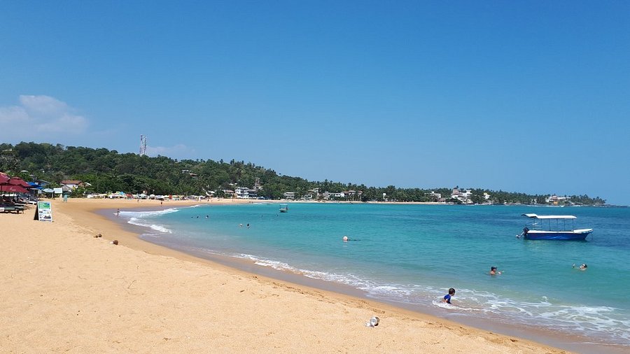 Unawatuna Beach Sri Lanka: Stay Zones, Nightlife & Beach Activities