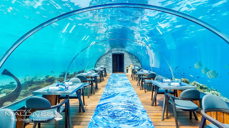 Underwater Restaurants in Maldives: Booking, Prices & Best Picks