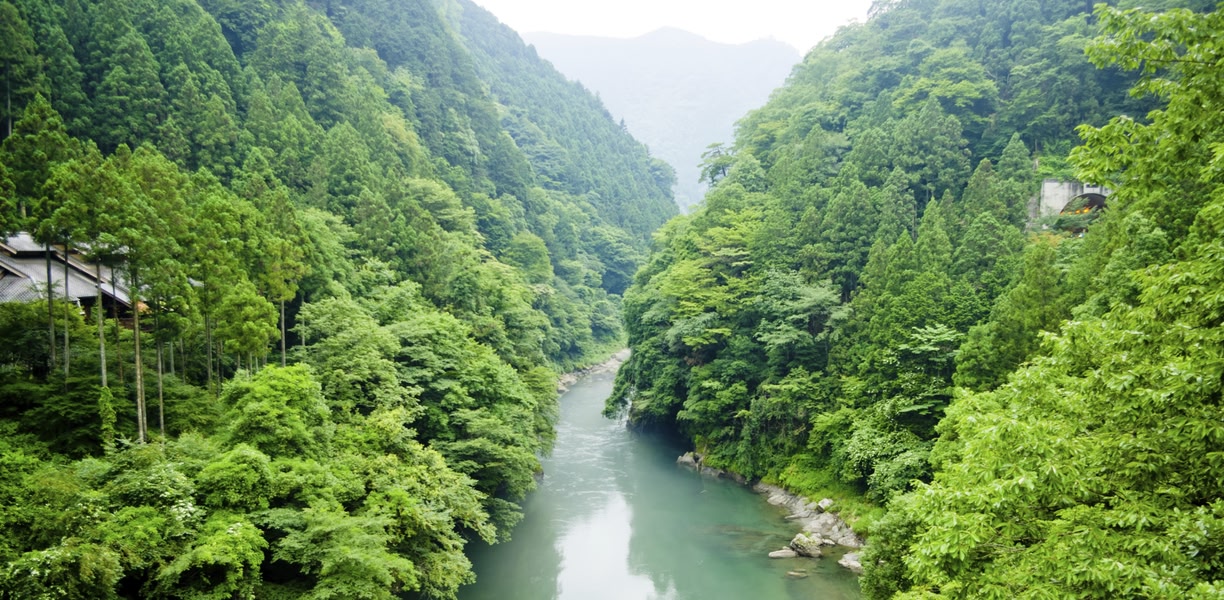 Visa-Free Europe for Indians 2026: Entry Rules & Eligible Destinations