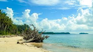 Wandoor Beach Andaman: Entry Info, Boat Trips & Nearby Islands