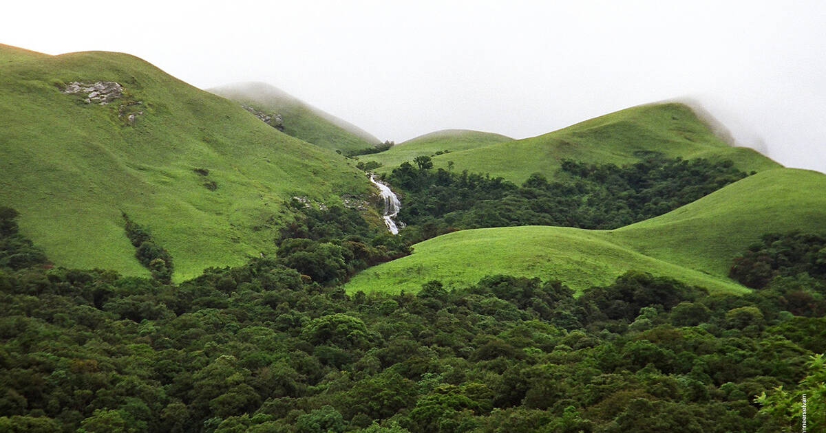Western Ghats Biodiversity: Species Richness, Conservation & Responsible Travel