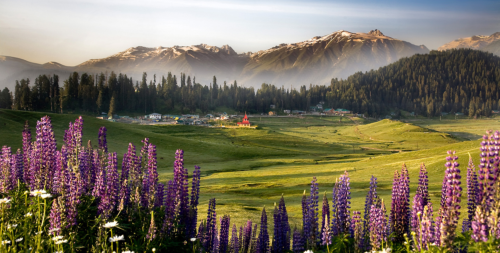 Yusmarg Kashmir: Meadow of Jesus, Route & Best Time