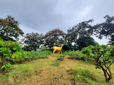 Ananthagiri Hills Trek - Image 3