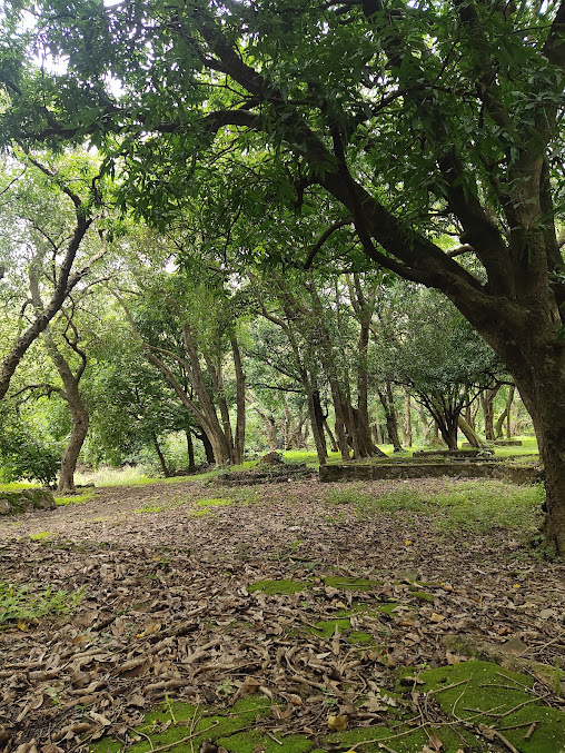 Bhandardara Trip - Image 6