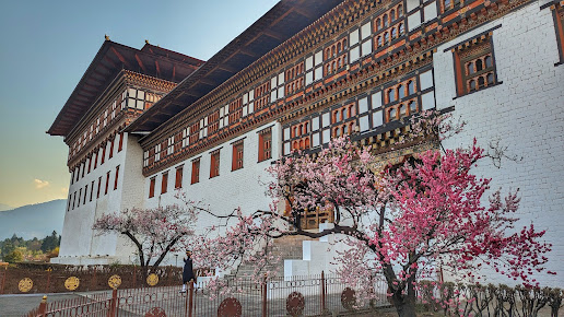 Bhutan Trip - Image 2