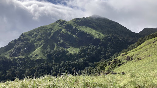 Chembra Peak Trek - Image 2
