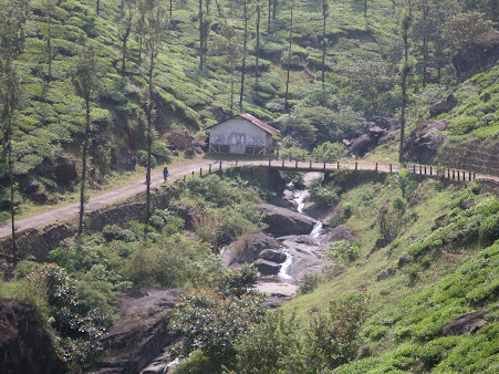 Chembra Peak Trek - Image 5