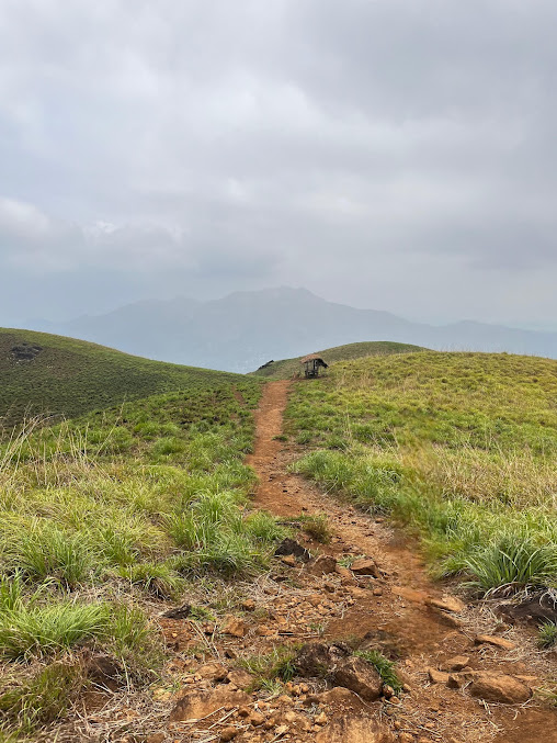 Chembra Peak Trek - Image 6